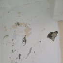 우성세라믹 이미지