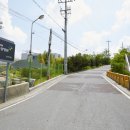 푸른자동차병원 이미지