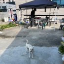 대왕암공원안쪽화장실 | 일산해수욕장, 대왕암공원 아침 식사 가능한 곳! 혼밥...설렁탕 전문점 본가진설렁탕 솔직 혼밥 후기