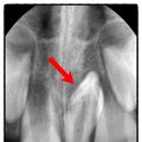 키즈맘스 이미지