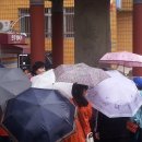 구포초교 이미지