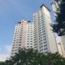 강남-222 이미지