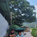 안계의료기 이미지