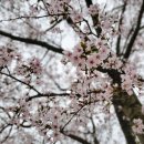 은석캠핑장 이미지