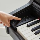 영창아파트 | 초보자용? 가성비 해머 건반 끝판왕! 영창 커즈와일 M5 디지털피아노 구매 가이드 및 솔직 후기