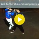 번자권-Lethal Finish Movement Series 5- Fan Zi Quan 'Qi Gu Shi' 흉한필살기계렬5- 번자 이미지