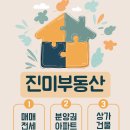 진미공인중개사사무소 이미지