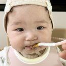 팜큐브 | 초기이유식소고기 꽃돌이네 한우팜 우둔살 큐브 중기이유식