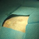 조형선외과동물병원 이미지