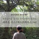 연이네집 민박 | [제주숙소추천] 제주도 숙소 추천 리스트 (게스트하우스,펜션)(Since 2015~ ing)