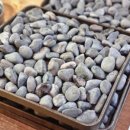 부천몽돌숯불장어 이미지