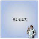 솔잎약국 | 신축 아파트 혹파리 퇴치부터 솔잎혹파리 방제까지 깔끔 정리