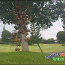 울산컨트리클럽 이미지