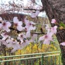 성운대학교 이미지