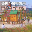 증평 가볼만한곳 블랙스톤 벨포레 리조트 루지 썰매 목장 조식