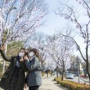 용산-105 이미지