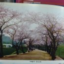 화순사평중학교 이미지