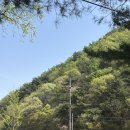 학교가자캠핑장 | 대전 아이랑 가볼만한곳, 무료 숲놀이터 상소 산림욕장 유아숲체험원 솔직후기