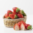 오성프라스틱 이미지