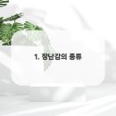 강아지분양 애견입양 아이러브독 수원점 말티푸미니비숑포메 이미지