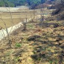 평장농장 이미지