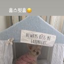 코튼스토리