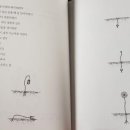 루피니스 이미지
