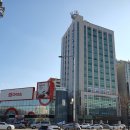 더 매드짐 이미지