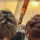 몬스터MMA 이미지