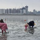 오이도어촌체험휴양마을 이미지