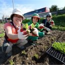 중랑천 제2체육공원 이미지