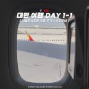 행운의 전진(Lucky Advance) | [대만여행] : 서울도심공항 이용 후기 / 사전준비