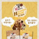 강아지홀릭 이미지