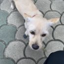 정철 동물병원 이미지