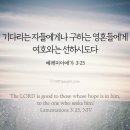 애가