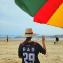 청광다실 | 가족들과 함께한 jjang 즐거웠던 2박3일 보성여행 🍵