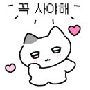 피톤골프 이미지