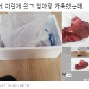 왔다고기집