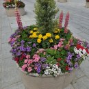 CGV 맞은편 이미지