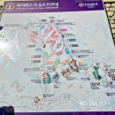 고한막골도로변 | 아이들과 하이원 스키장, 정설시간, 멀티스키 렌탈샵, 정선트라움밸리호텔 디럭스온돌룸, 장가네식당...