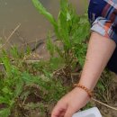 추곡터널낚시터 이미지