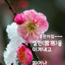 ♤蒲公英(포공영)♧ 이미지