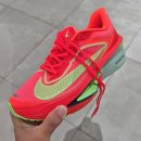 플라이 소프트 | '슈퍼슈즈 입문용' 나이키 줌플라이 6! 베이퍼/알파플라이와 비교 후기