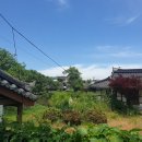 곡성군청 이미지