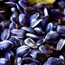 ㈜느티나무 이미지