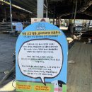 진주목장 | 진주 근교 아이와 가볼만한 곳 의령 야베스팜 힐링 목장 카페 방문 후기