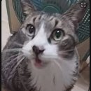 병천페리카나치킨