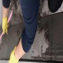 금곡초등학교 이미지