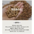 법인꽃뫼사람들 | [충남마을기업 맥문동차 추천]꽃뫼영농조합법인 국산 맥문동차