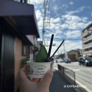 [7/26] 심리극 속 나를 찾는 여행 : 나를 또 다시 외치다 | 오사카 여행 3일차 🇯🇵 교토 일일 투어 (후시미이나리 아라시야마 은각사 청수사)